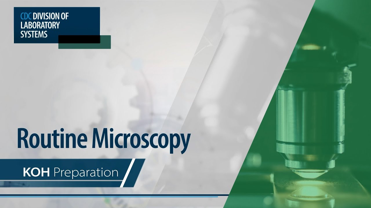 Routine Microscopy – KOH Preparation