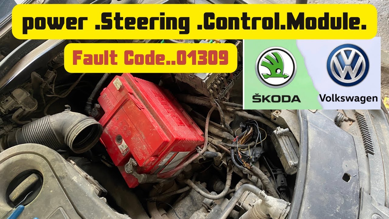Skoda  Fault Code(1) 01309 power steering control Module.(2)fault code. 00778 Steering angel sanser
