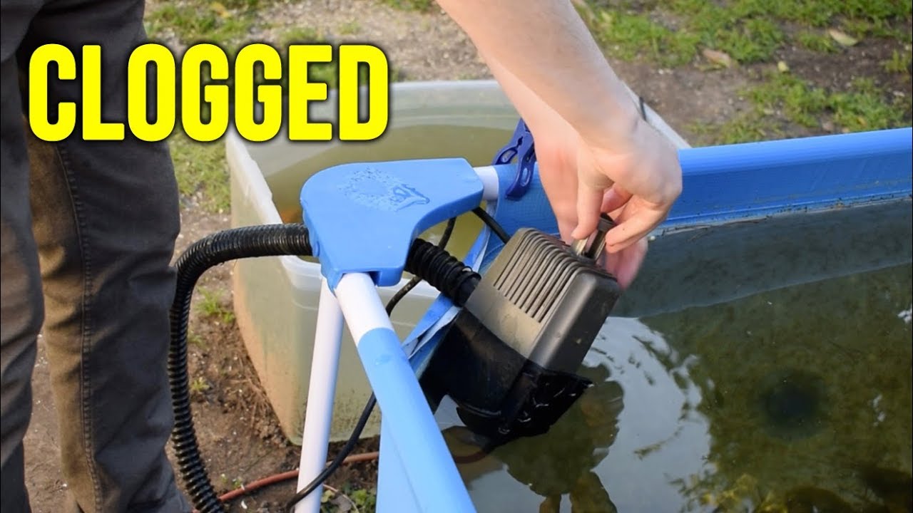 Pond Pump and Filter Maintenance!