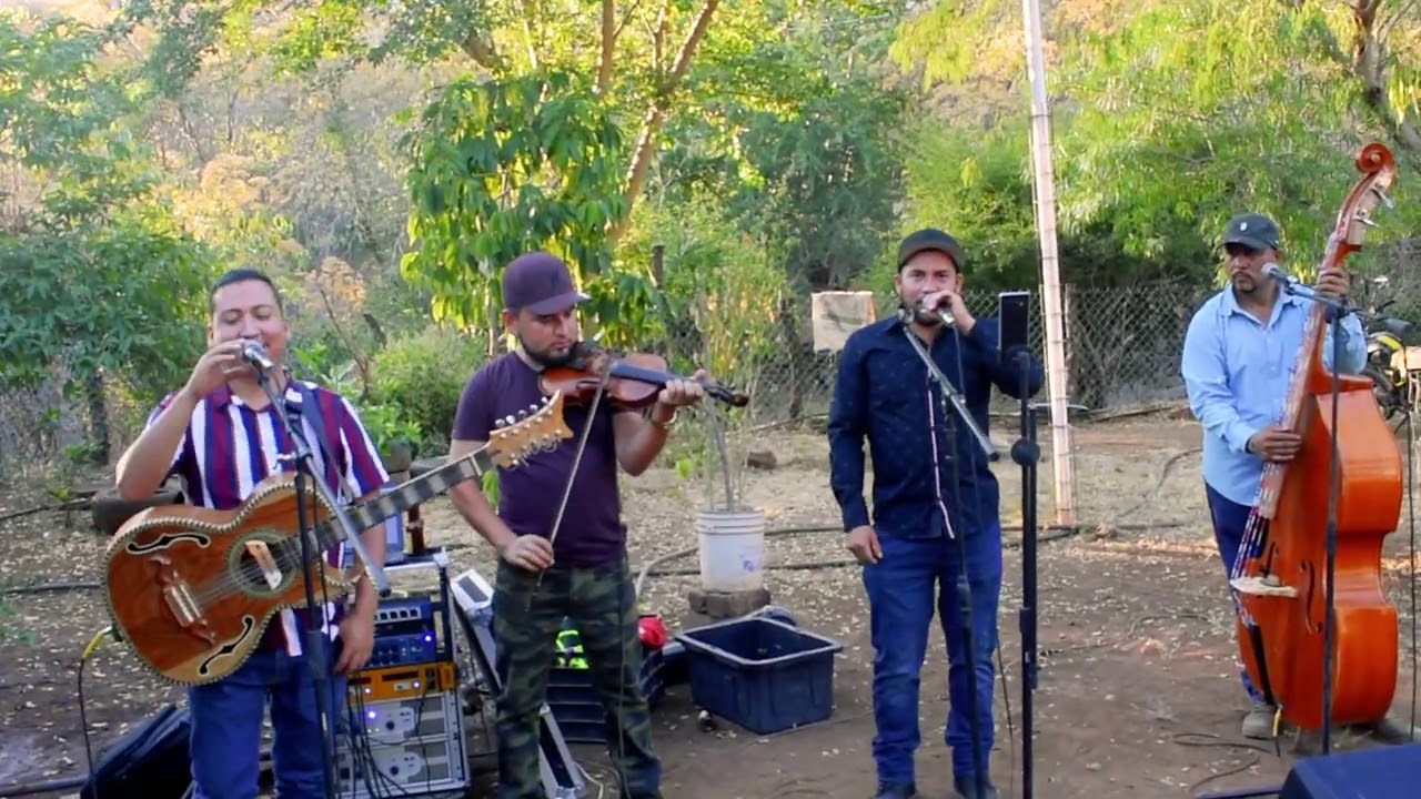 ¡NUEVO! INTEGRANTE - LOS POTRILLOS DE TURICATO CON TOLOLOCHE