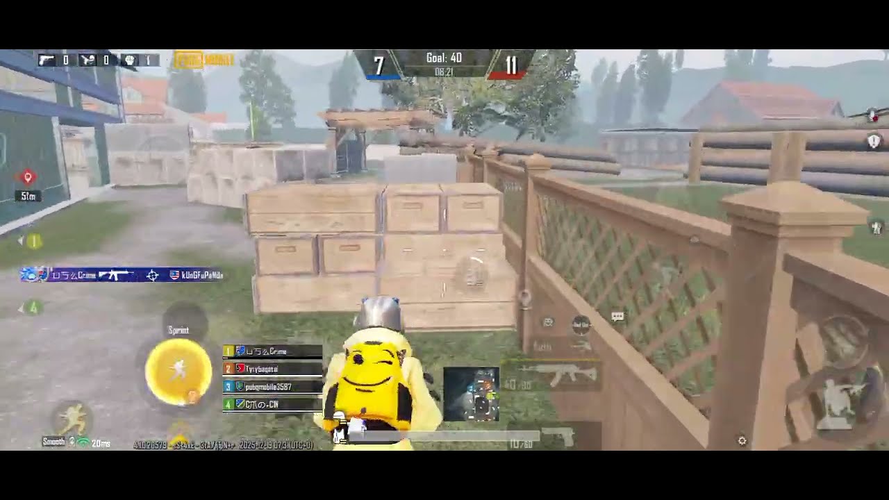 Tdm [ 12 kills , Mvp ] 🌅❄️🐯 [ lower down sensitivity alot more accurate ]