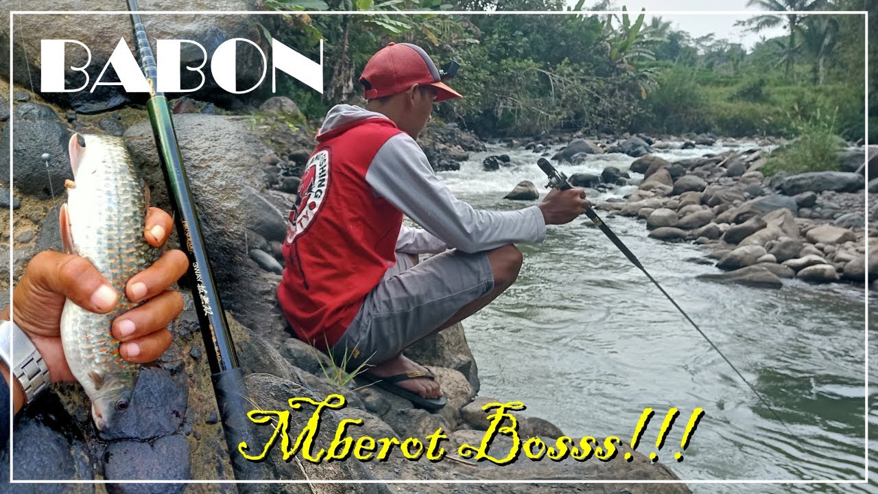 Mancing Melem/Nilem Tehnik Nutul Umpan Lumut