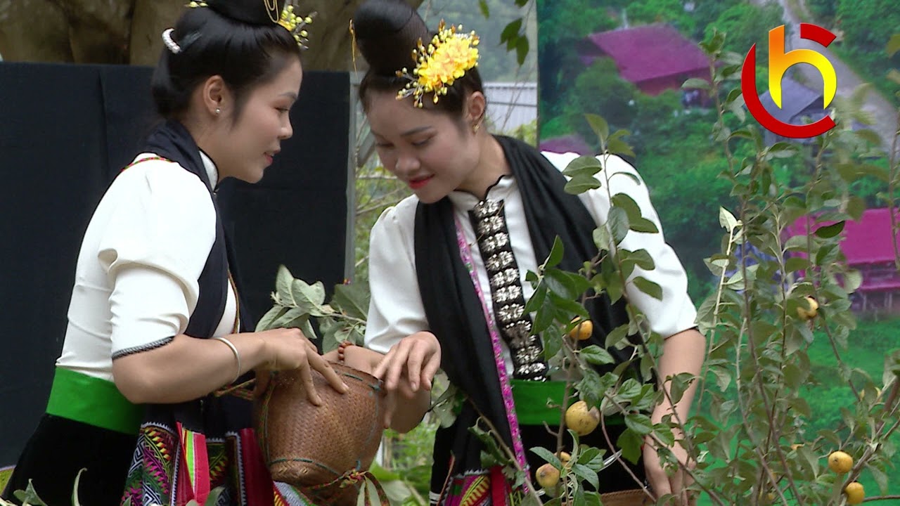 CHƯƠNG TRINH QUAM KHẮP:  