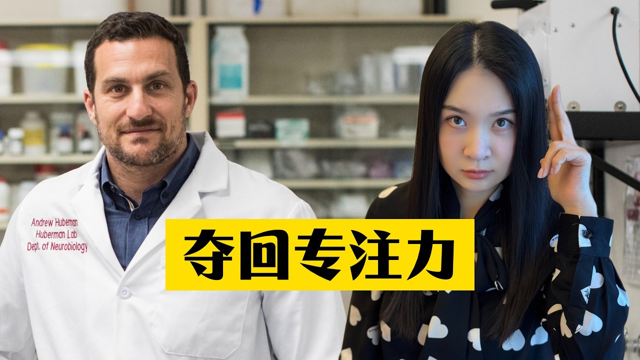 不要秒回信息｜从“注意力老虎机”中夺回生活主导权