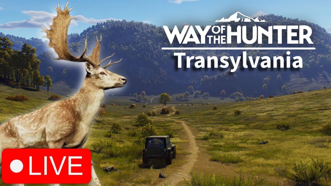 Looking for Collectibles on Transylvania