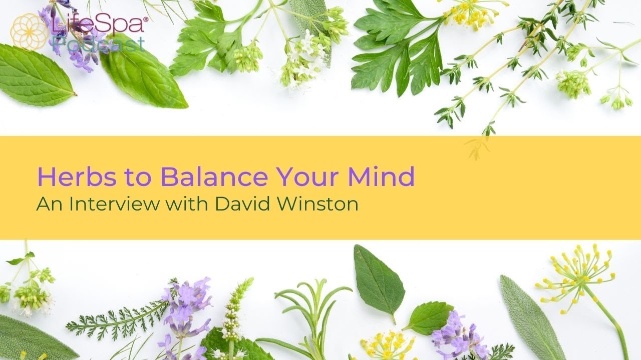 Herbs to Balance Your Mind: an Interview with David Winston | John Douillard's LifeSpa