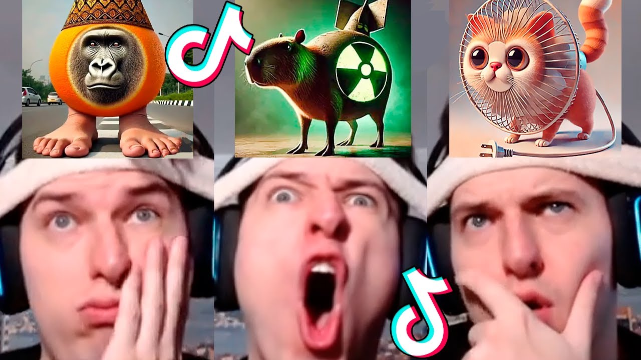 NEW Italian Brainrot Animals 😱 TikTok Compilation (Anatoxich) #36