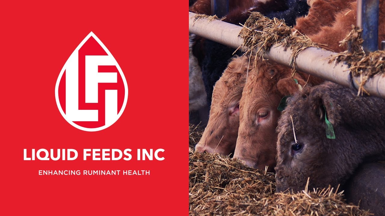 Liquid Feed Testimonial Showcase | Liquid Feeds