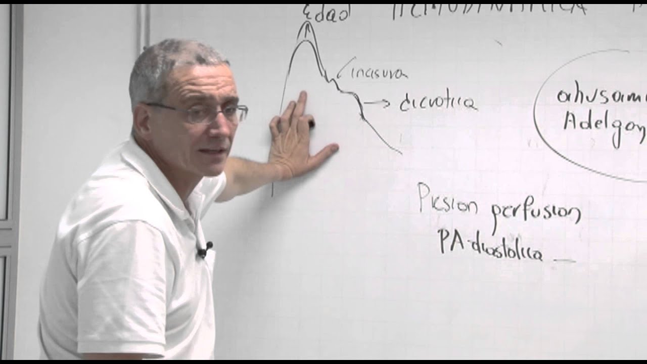 Fisiología III - Hemodinámica 2