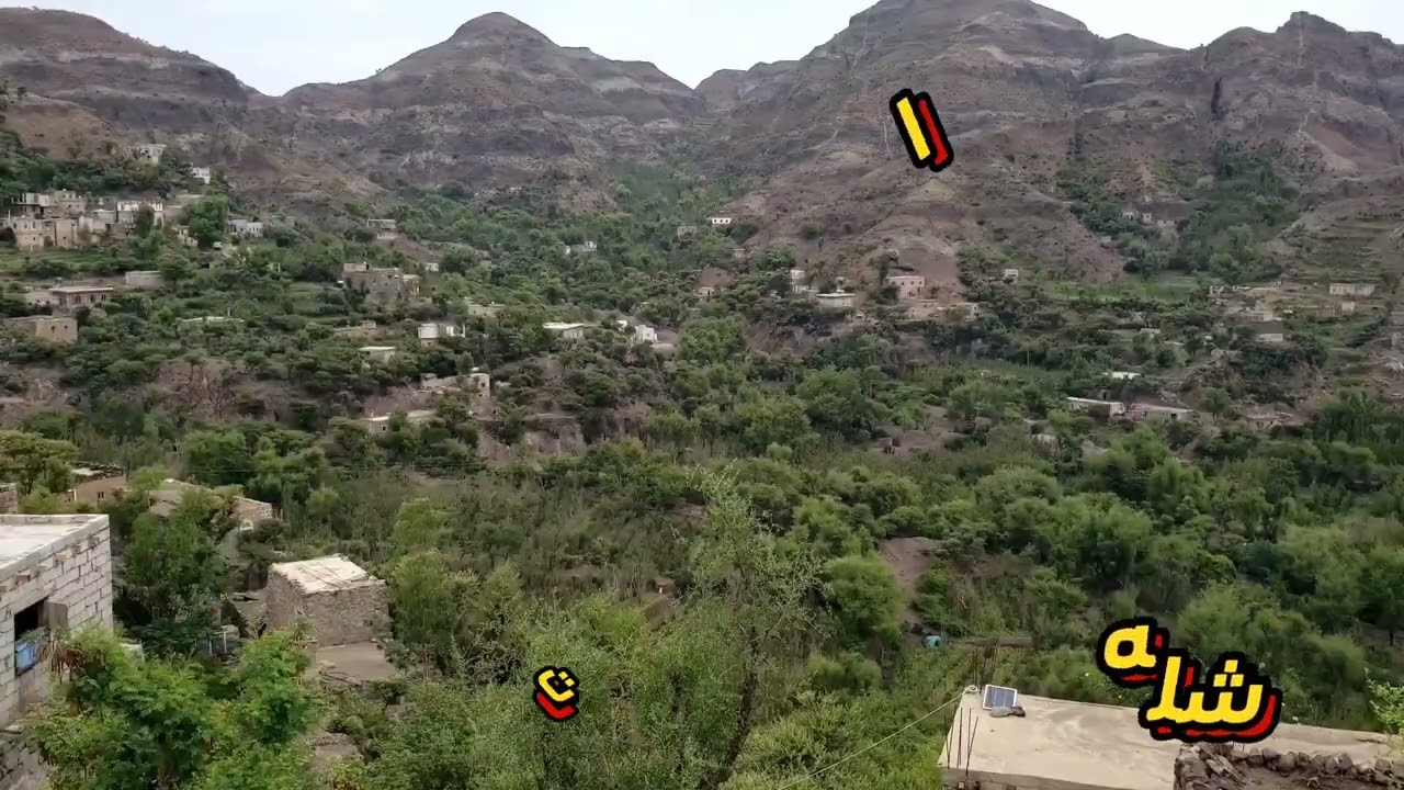 الله اكبر على الدنيا خذت كل غالي