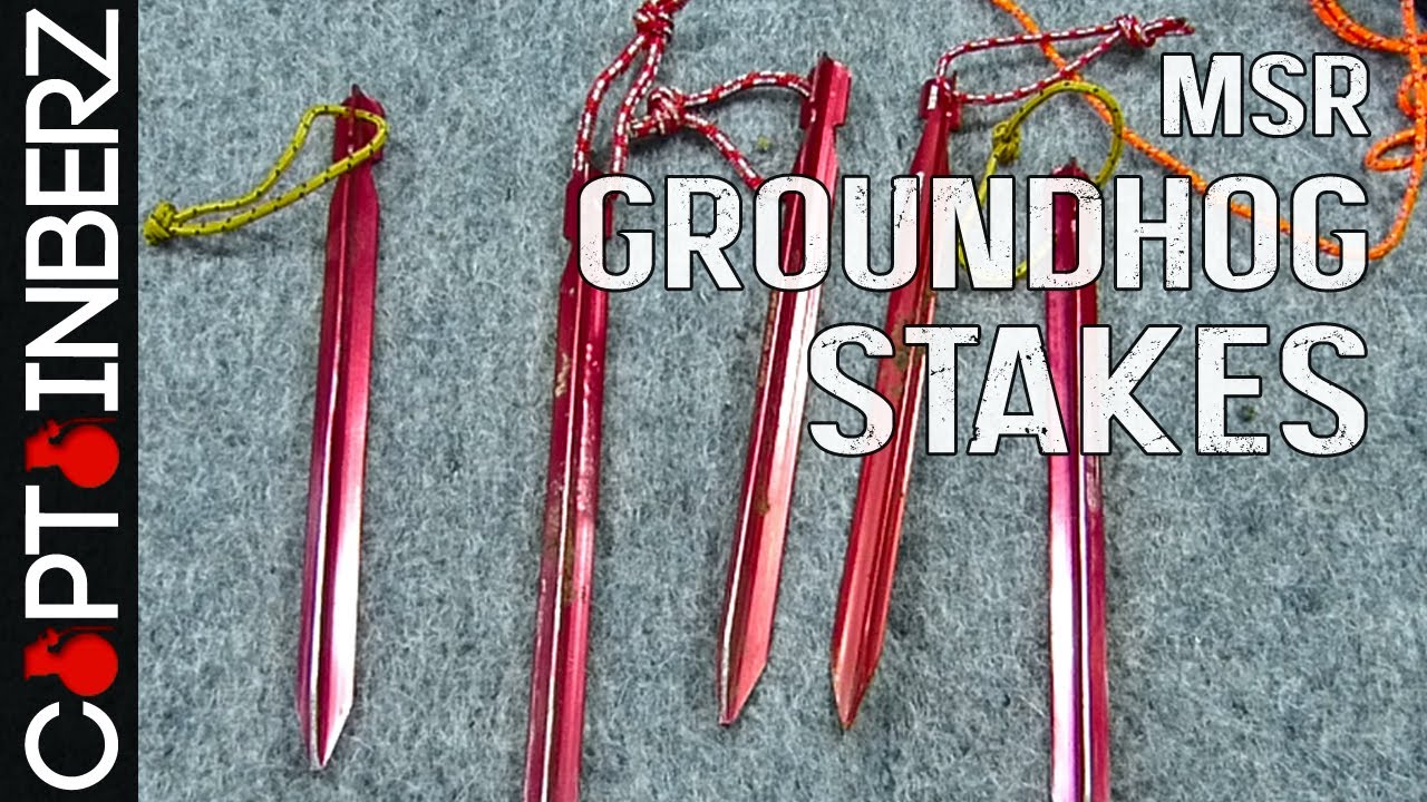 MSR Groundhog Stakes
