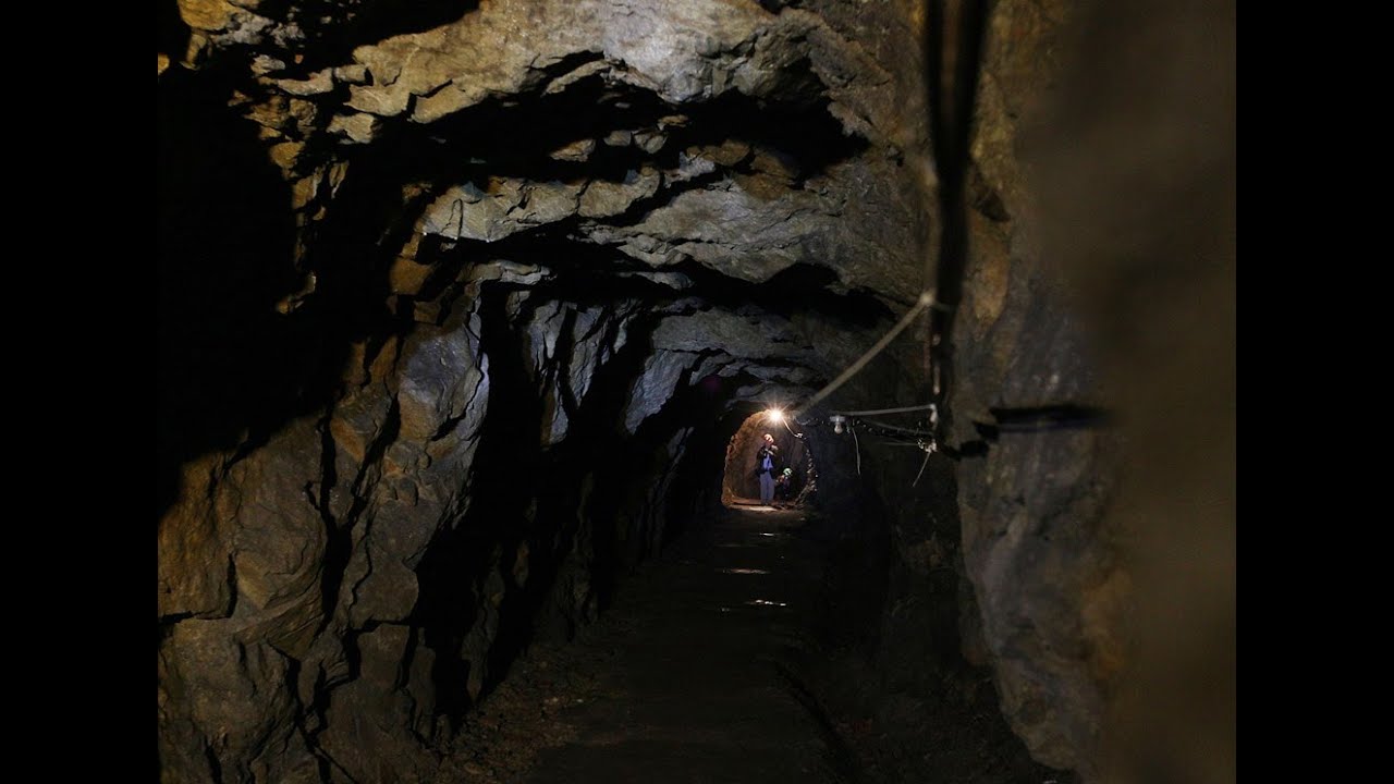 Polish Gold Rush: Hunt for legendary Nazi train sparks rise in tourists and treasure hunters