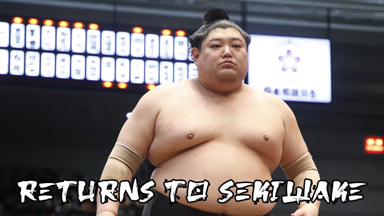Abi Upgrades to Sekiwake again! His 15 days from Haru 2024