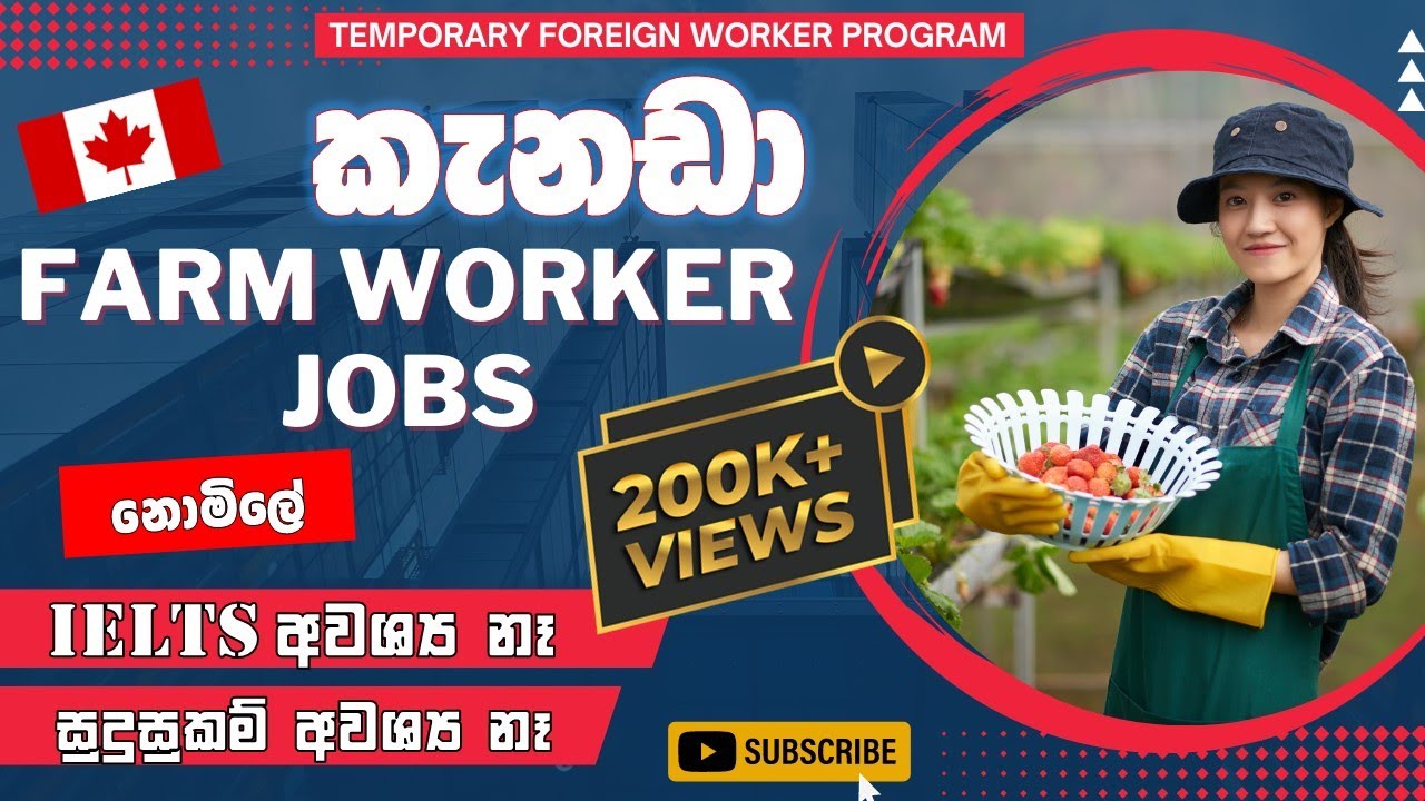 Canada Farm Worker Jobs 2022| නොමිලේ Apply කරමු|No IELTS| NO Experience| TFWP| Teddyvlogs