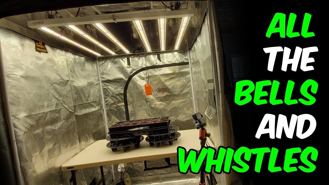 ViparSpectra KS5000 Ultimate Complete Grow Tent setup at Home by Terpy Highs!!!