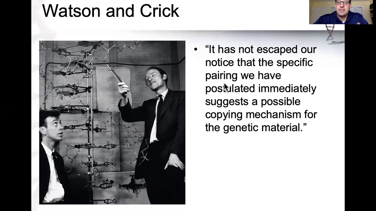 DNA Structure & Replication Lecture