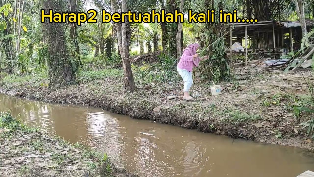 HEALING SAMBIL MEMANCING IKAN DI JAMBATAN.