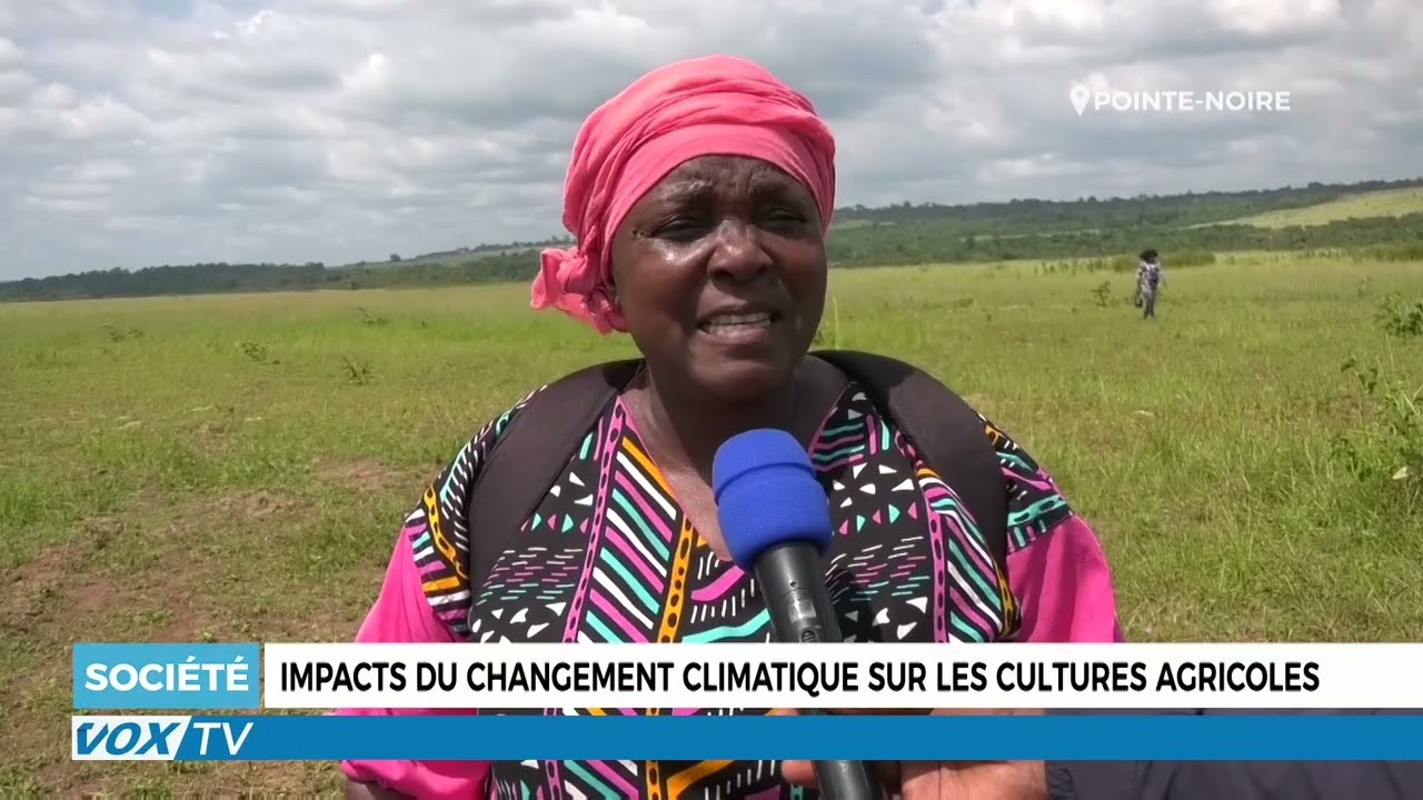 Impacts du changement climatique sur les cultures agricoles