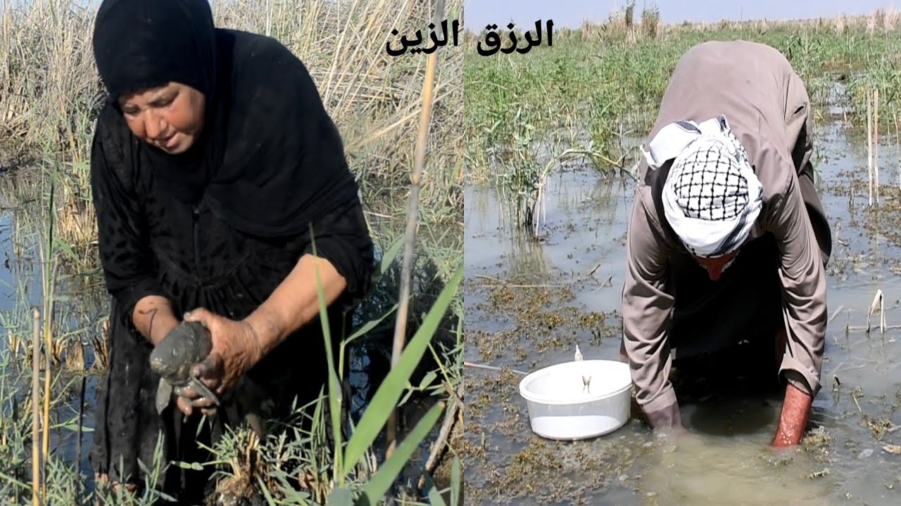 عمي السمكة الو ضم روحها بالطين هم نطلعها وناكلها جا نموت من الجوع صكد جذب اله طحين