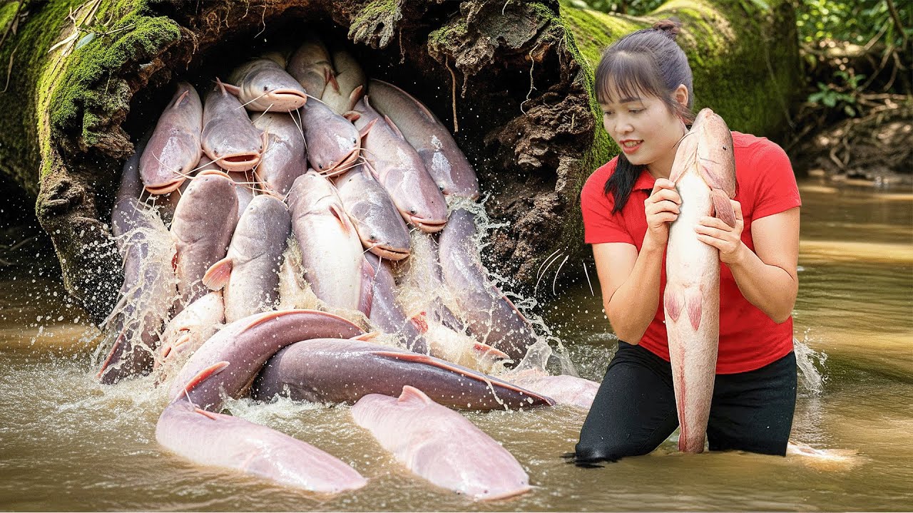 Mãe Solteira Captura Bagres Gigantes no Lago e Vende Tudo na Feira – O Método de Pesca da Emma