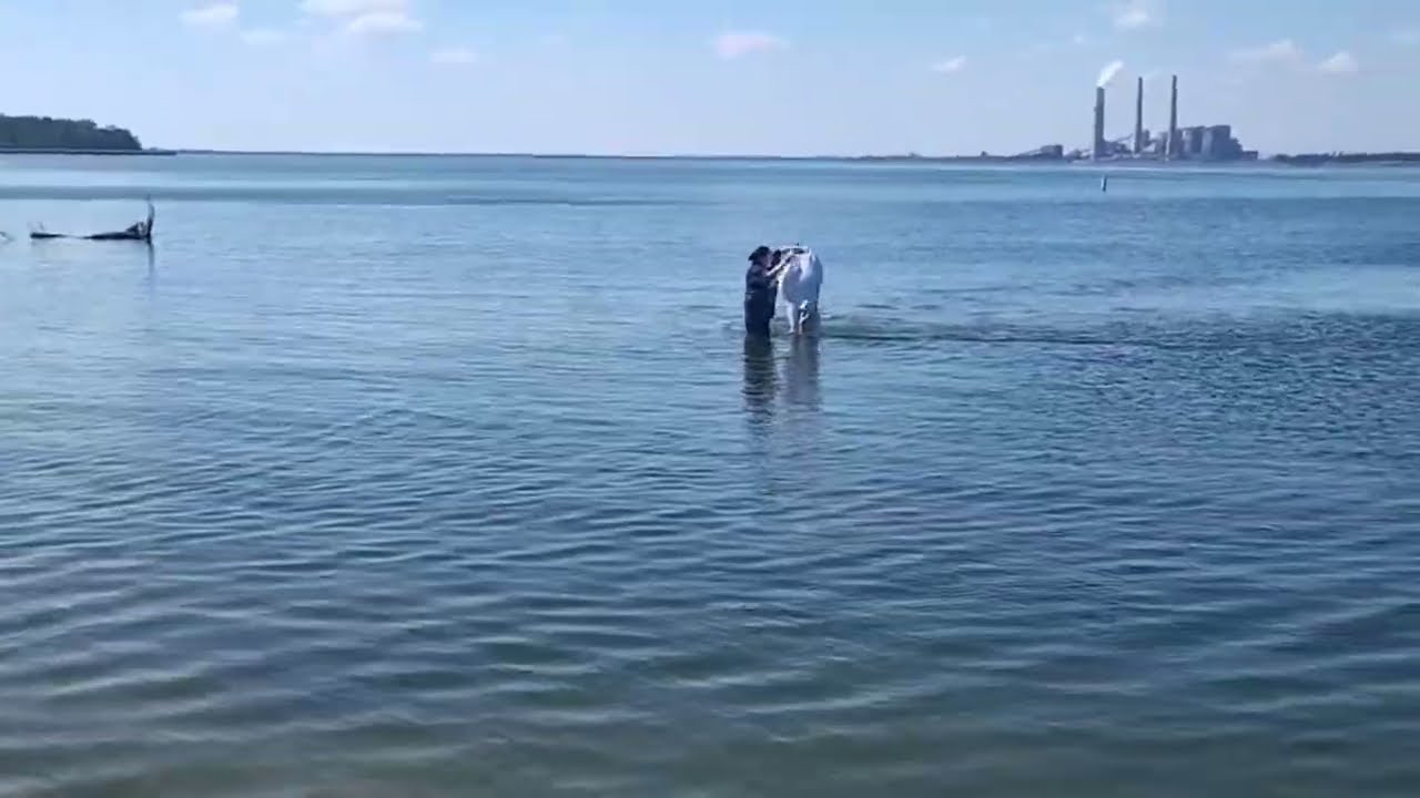 Bautismos en Lake Fayette (Octubre 4 de 2025)