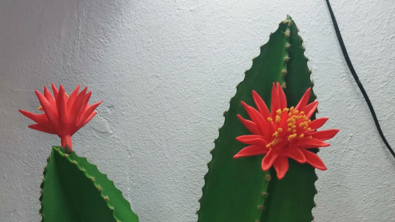como fazer um lindo cacto 🌵 sem frisador