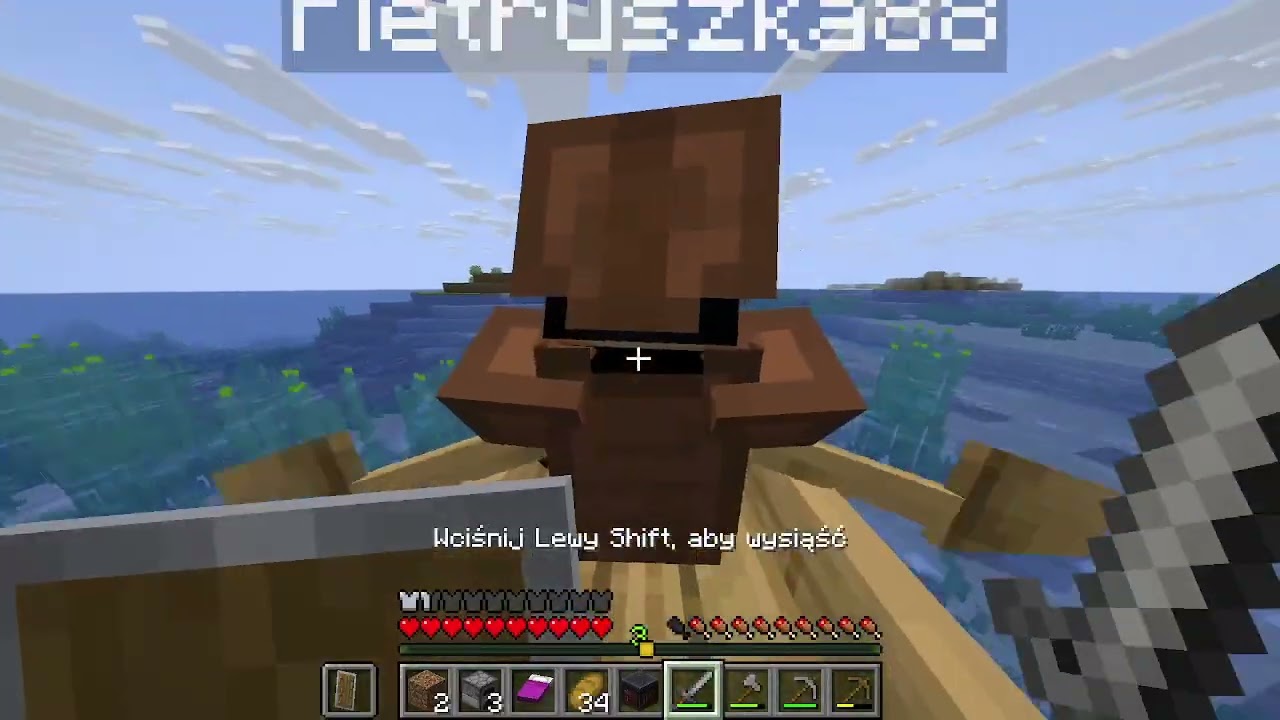 gra w minecraft z kuzynem #1