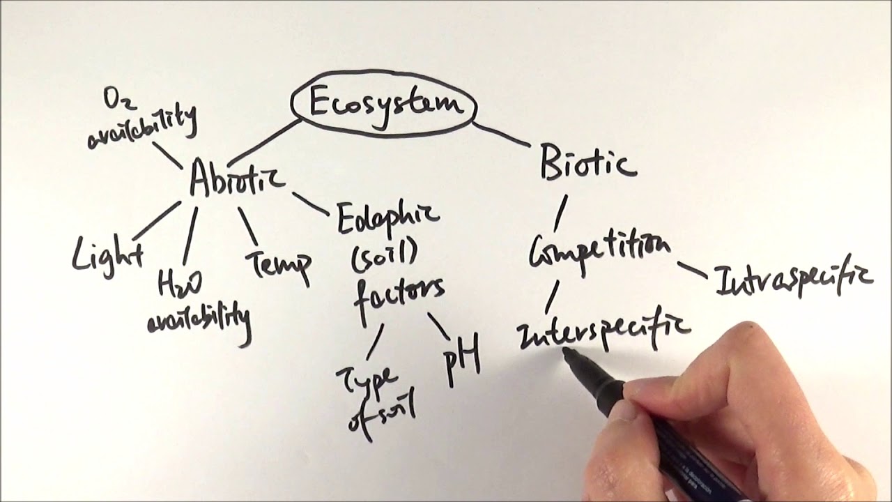 A2 Biology - Factors affecting an ecosystem (OCR A Chapter 23.1)