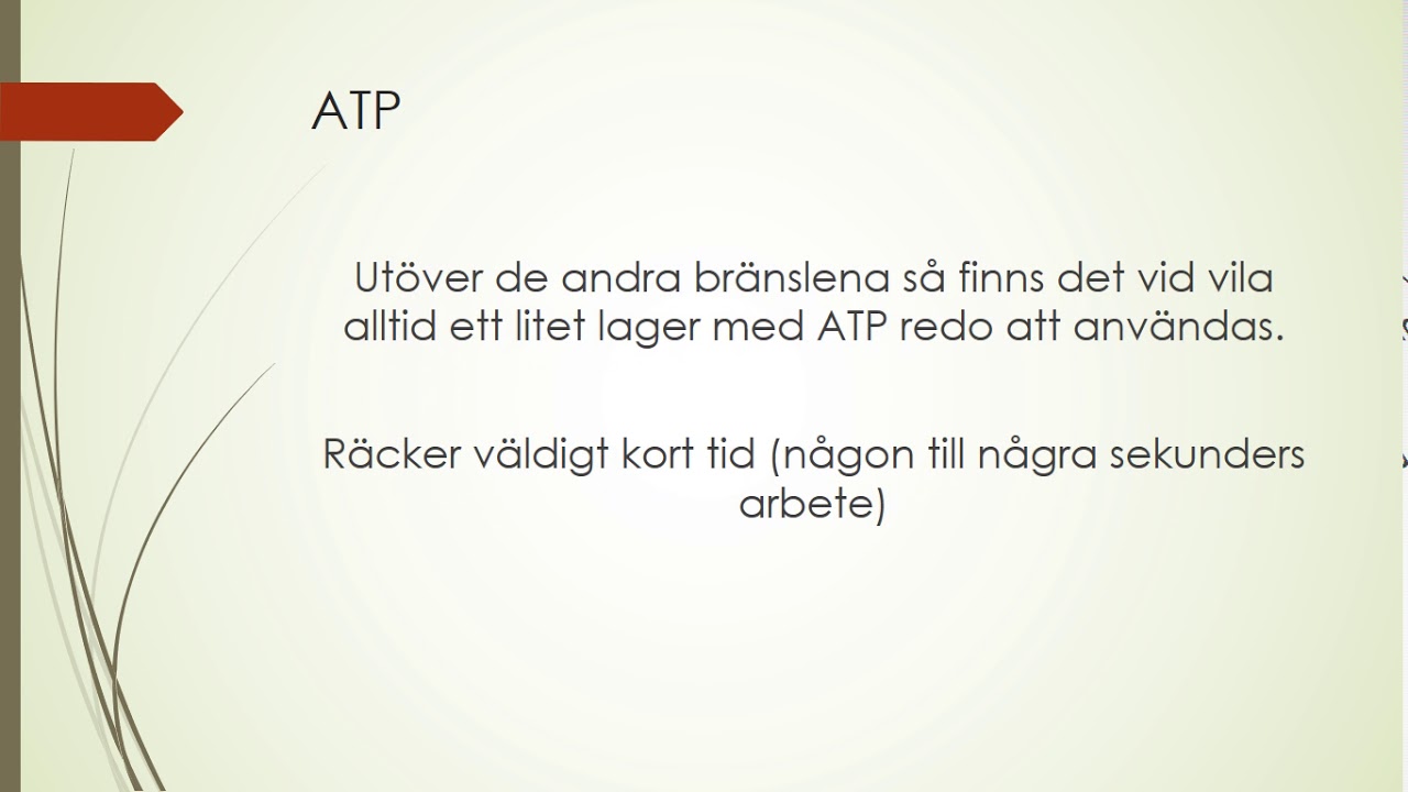 Föreläsning Bränslen - Träningslära 2