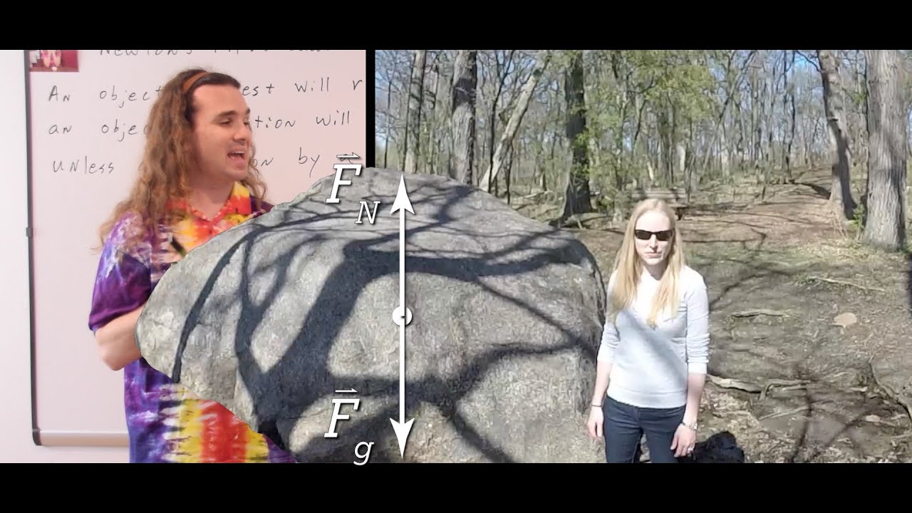 Introduction to Newton’s First Law of Motion