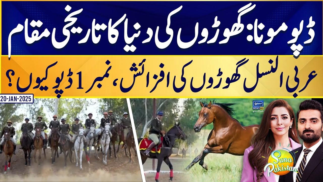 Pak Army's Remount Depot Mona: Historic Hub for Arabian Horses | Suno Pakistan | EP 533 | 20Jan25