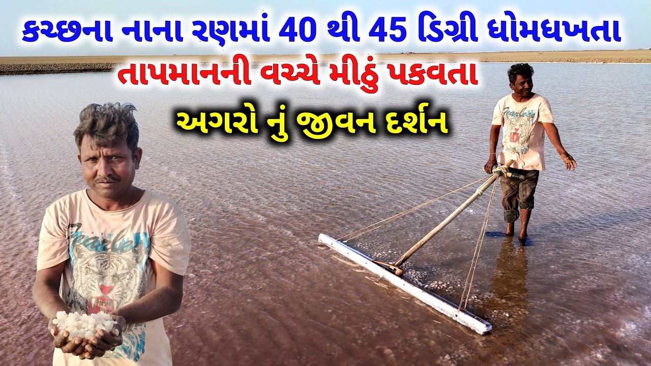કચ્છના નાના રણમાં 40 થી 45 ડિગ્રી ધોમધખતા તાપમાનની વચ્ચે મીઠું પકવતા અગરો નું જીવન દર્શન