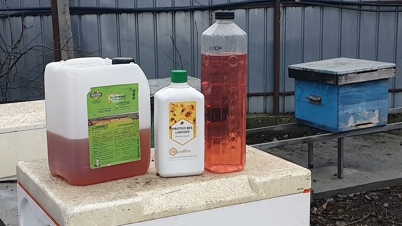 Au murit albinele ! Ce mă fac ? Ce minerale să folosim pentru bunăstarea albinelor ?