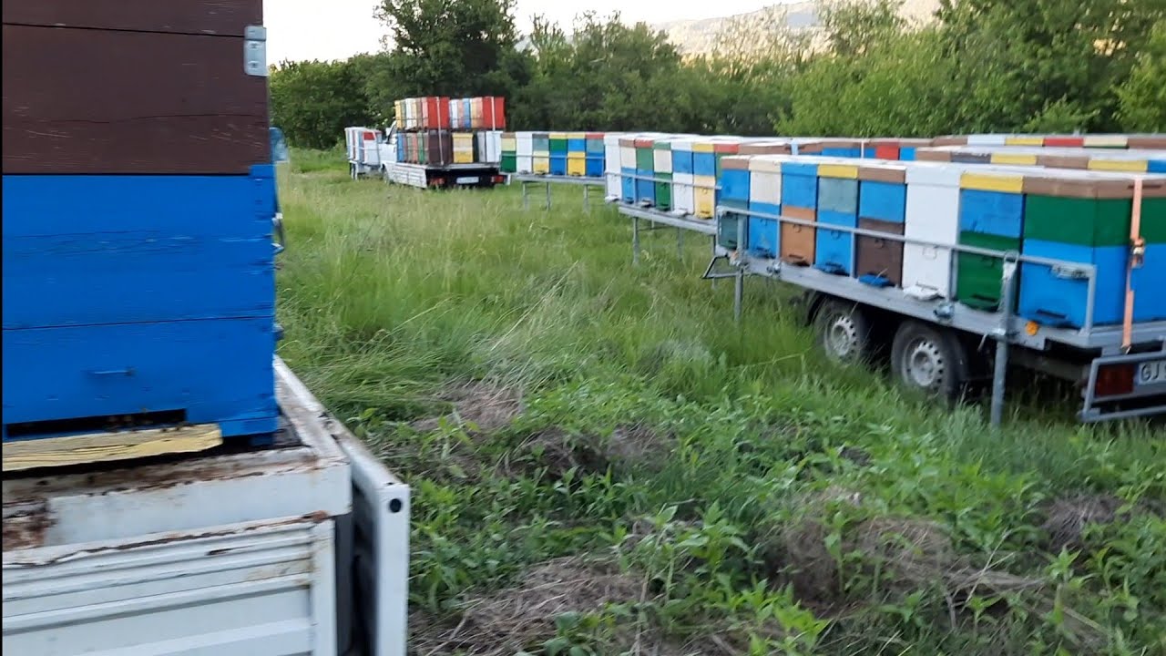 19 mai 22 - Salcam II si remorci apicole.