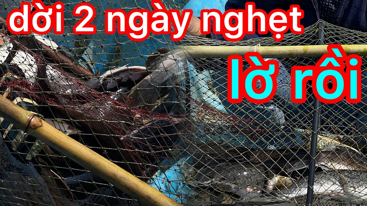 điểm cũ 25 cái ,dời 12 cái điểm mới nghẹt hết lờ rồi@₫₫
