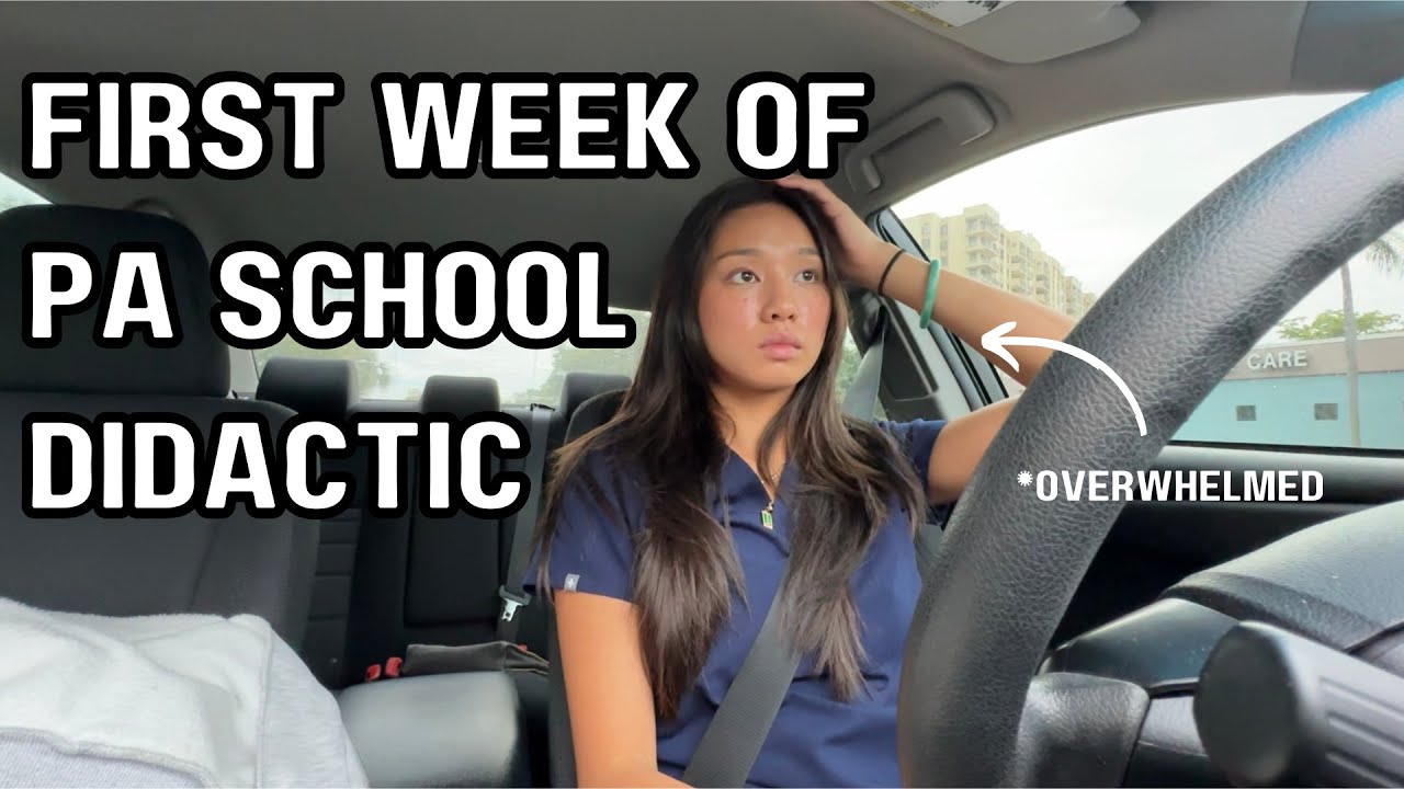 REALISTIC PA school diaries 🩺 Studying, grocery shopping, productive days, day in my life
