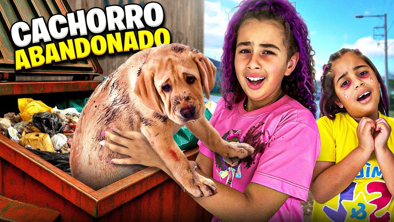 ABANDONARAM UM CACHORRINHO NO LIXÃO - DEVO ADOTAR?