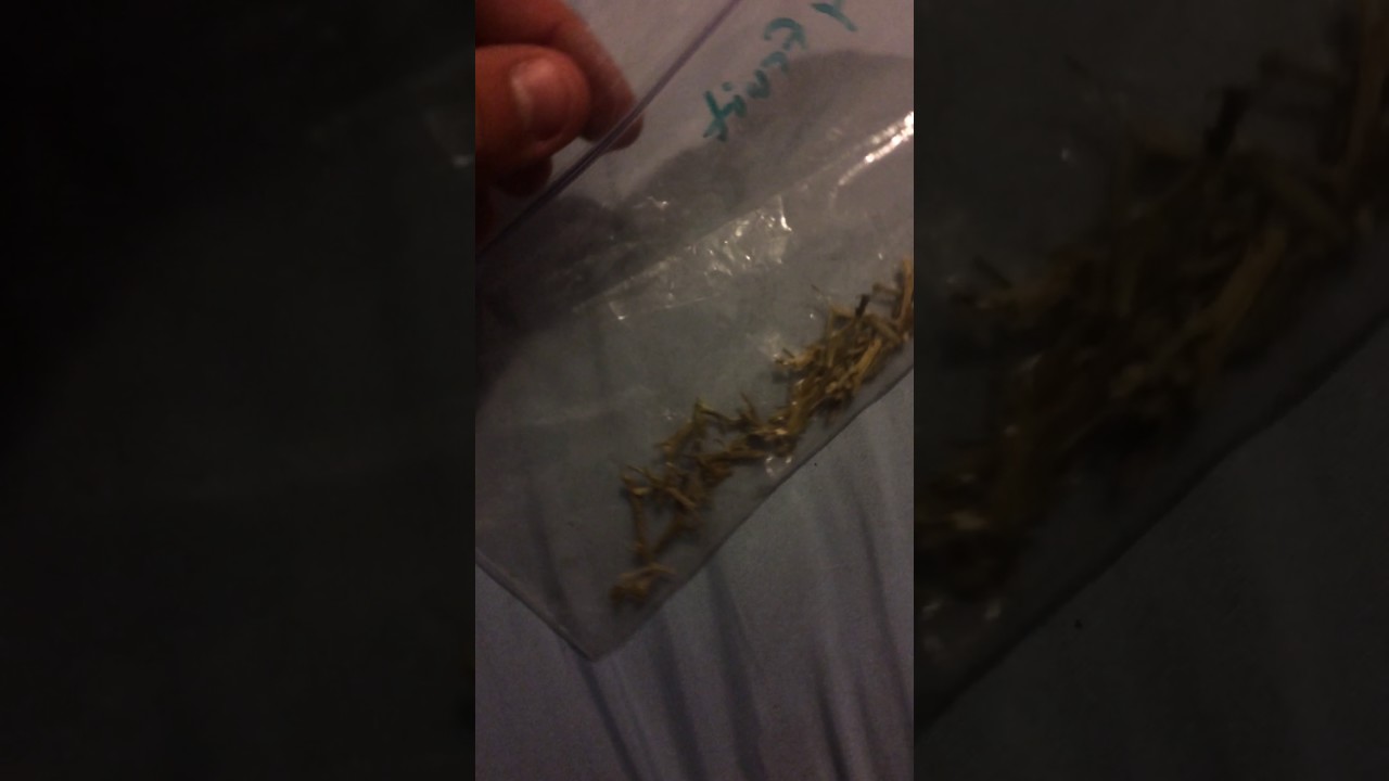 Save your weed stems to make Stem Tea