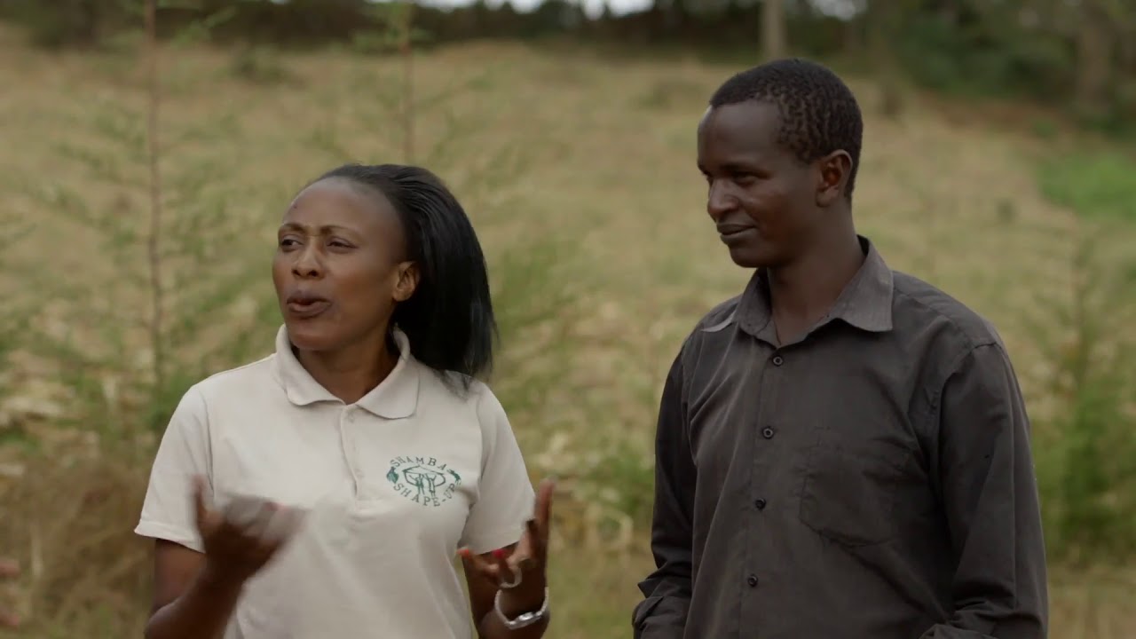 CARROT, NANTES IMPROVED VARIETY FEATURE ON SHAMBA SHAPE UP