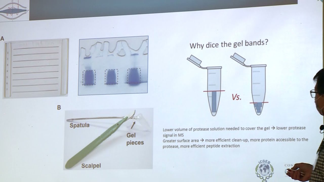 6. Sample preparation in proteomics by Eduardo Ceccarelli