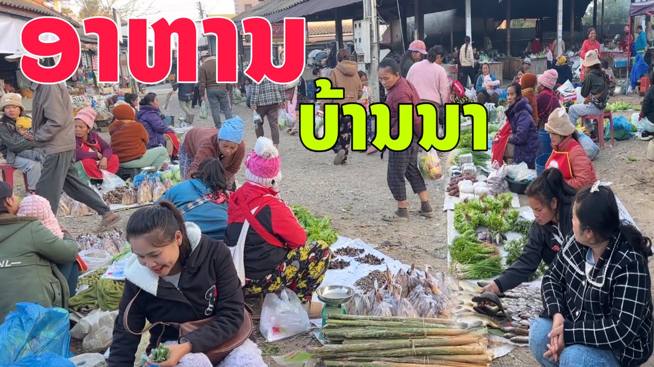 ອາຫານບ້ານນາຊາວເມືອງຮຸນ2026/อาหารบ้านนาชาวเมืองรุน2569/Lao local food 2026