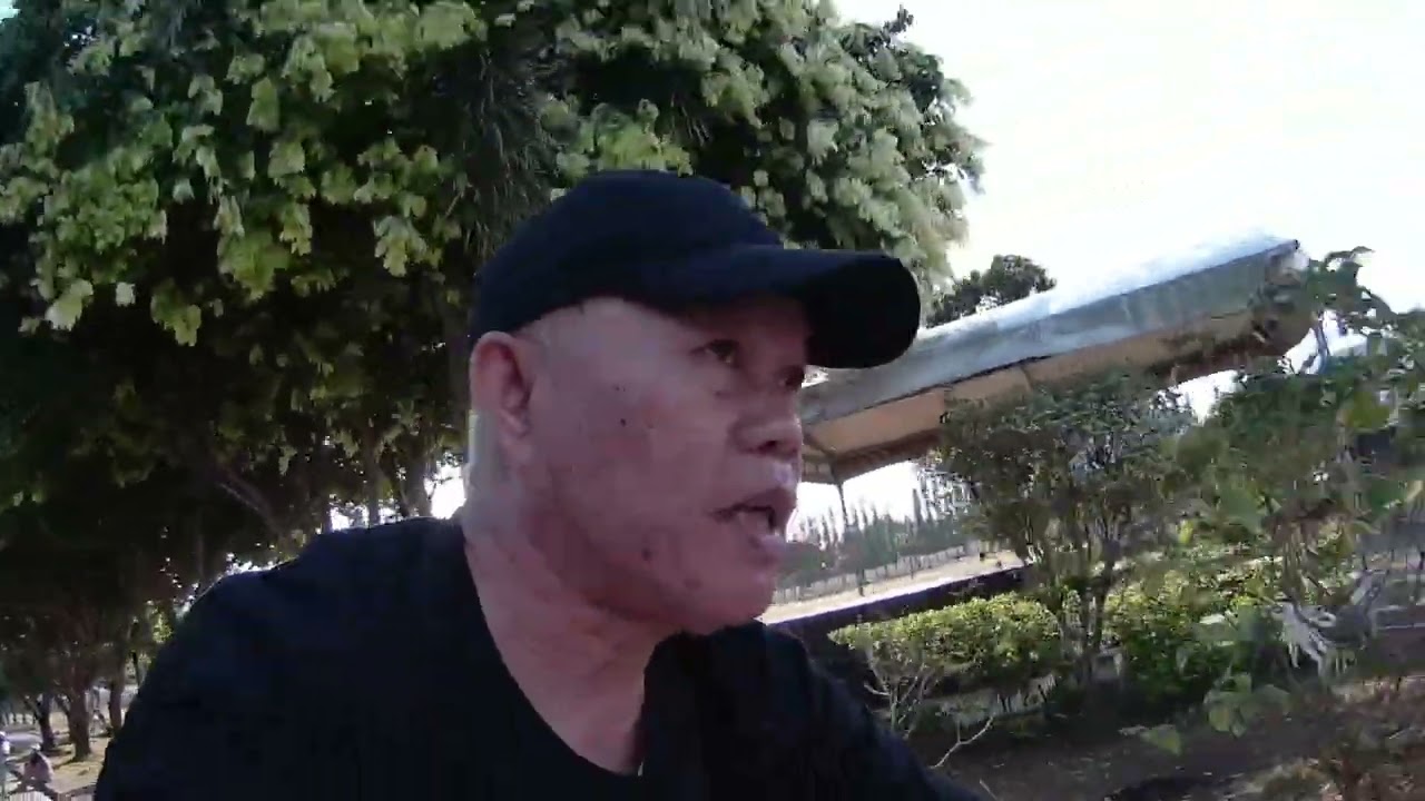 Jogging and walking areas in Carmona