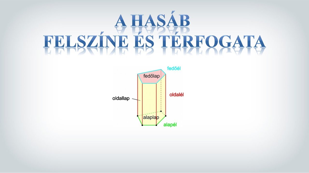 A HAS&Aacute;B FELSZ&Iacute;NE &Eacute;S T&Eacute;RFOGATA