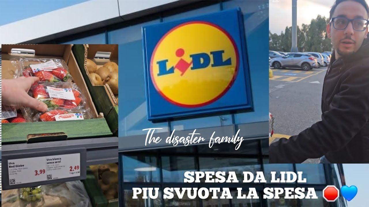 SPESA DA LIDL/SVUOTA LA SPESA 💙🛑