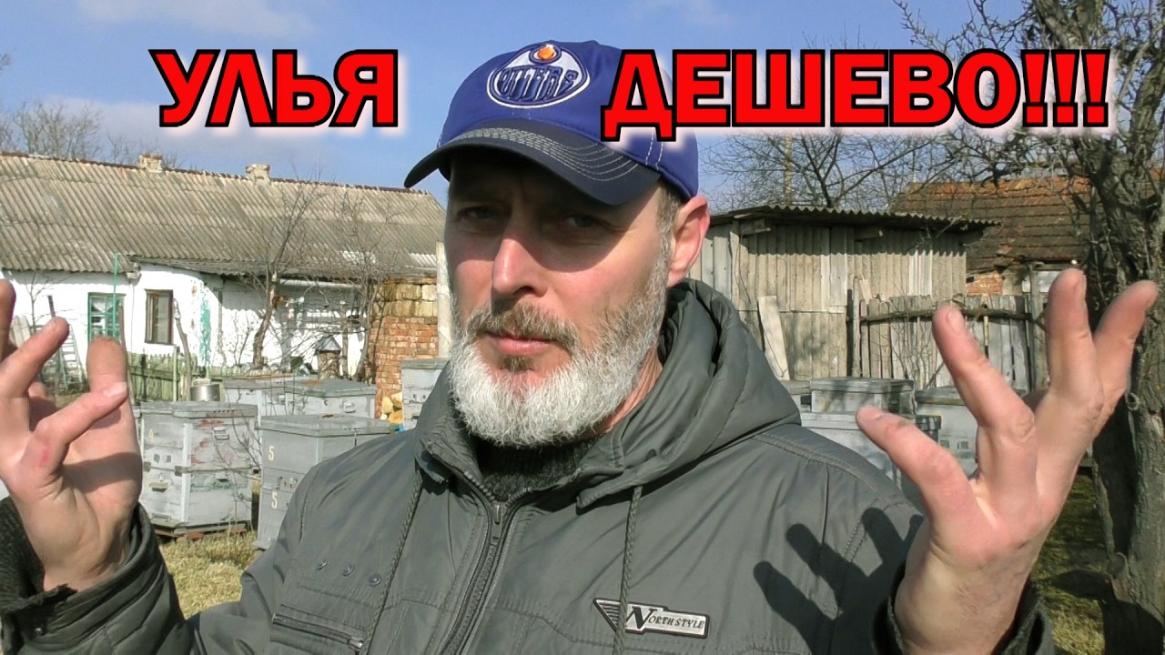 УЛЬЯ ДЕШЕВО.