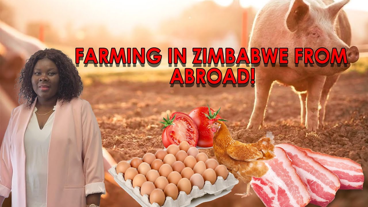 Unbelievable:  | Farming in Zimbabwe While Being Abroad!