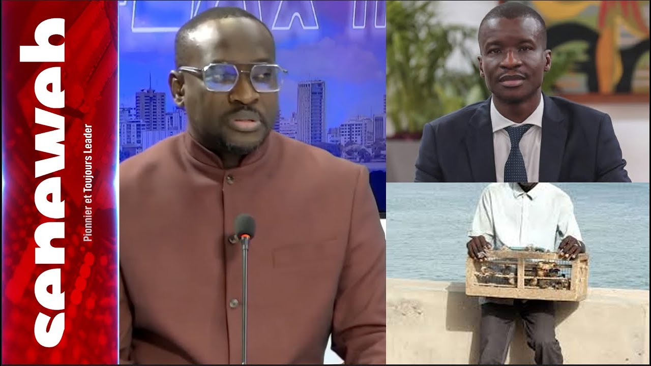 Sous l’ordre de Me Bamba Cissé : la Police nationale lance une offensive contre le trafic d’oiseaux