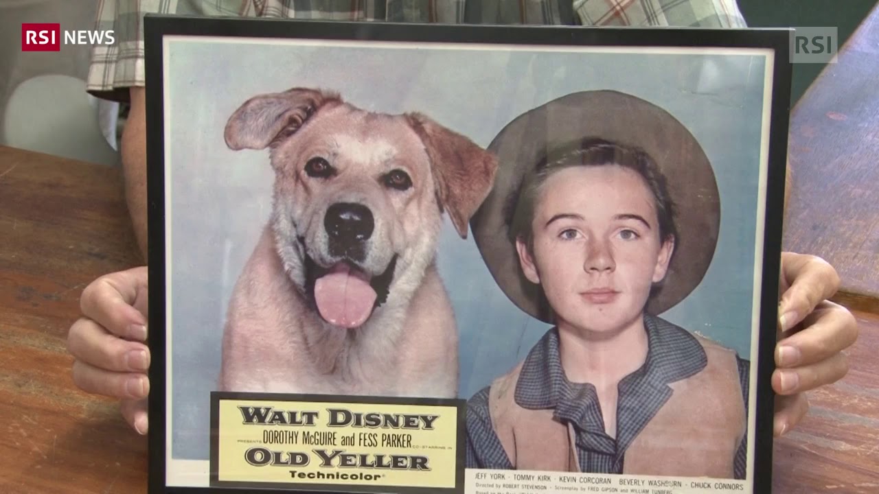 Storie di cowboy su libri del Texas | RSI Info