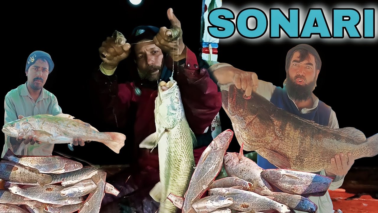 SONARI BOTTOM Best Fishing Report 