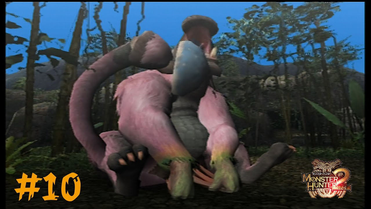 【PS2】再びひと狩り行く男 #10 ババコンガ編【モンスターハンター2(ドス)】